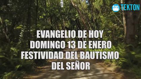 El Evangelio De Hoy Domingo De Enero De Festividad Del