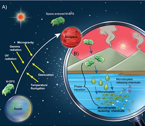 A Material Based Panspermia Hypothesis The Potential Of Polymer Gels