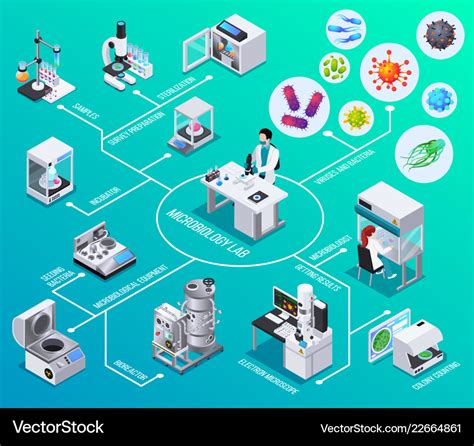 Microbiology Lab Isometric Flowchart Royalty Free Vector