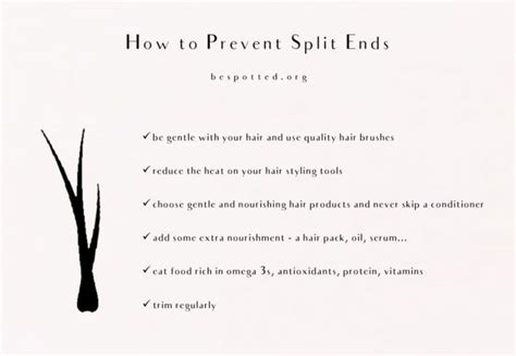 The Best Home Remedies for Split Ends to Try At Home