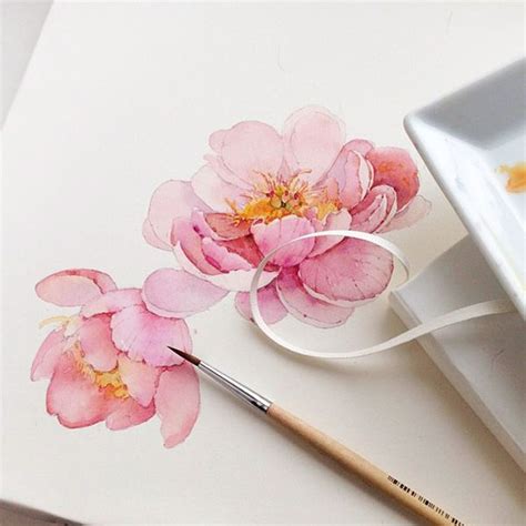 Flowers Sketchbook By Katerina Pytina On Behance Watercolor Peony Watercolor Peonies Botanical