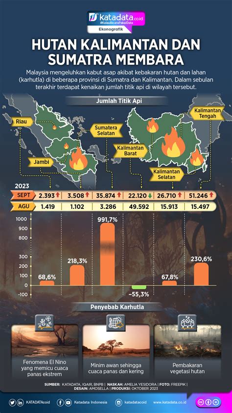 INFOGRAFIK Hutan Kalimantan Dan Sumatra Membara Infografik Katadata