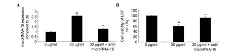 Apigenin Inhibits Glioma Cell Growth Through Promoting Microrna And