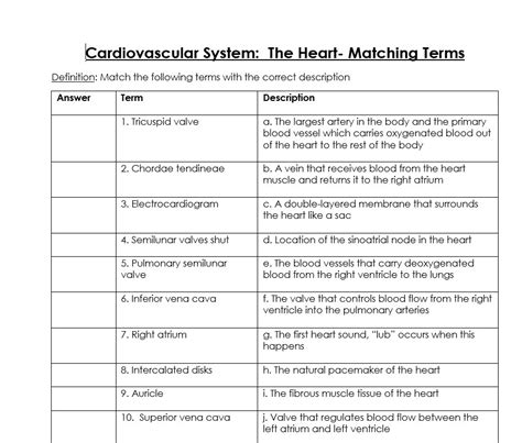 Cardiovascular System The Heart Matching Terms Anatomy Ekg Biology