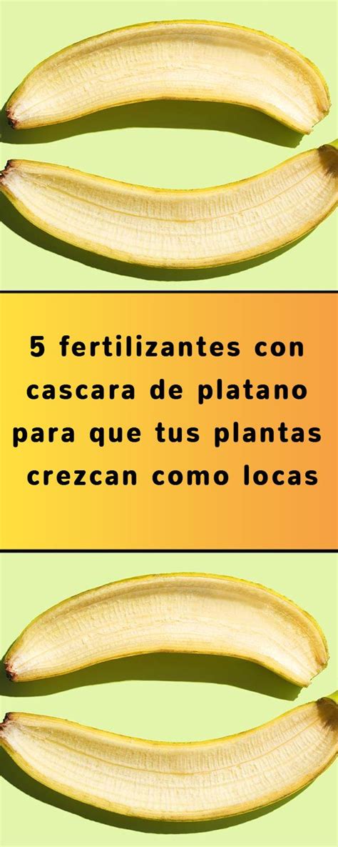 5 Fertilizantes Con Cascara De Platano Para Que Tus Plantas Crezcan Como Locas Guiadeconsejos