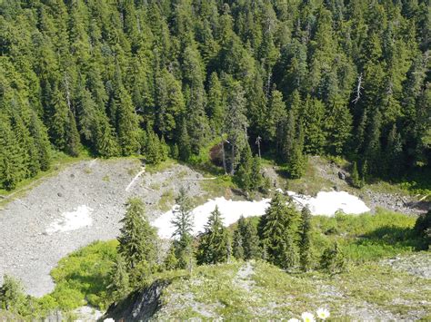 Into the Gorge!: Larch Mountain - Oregon