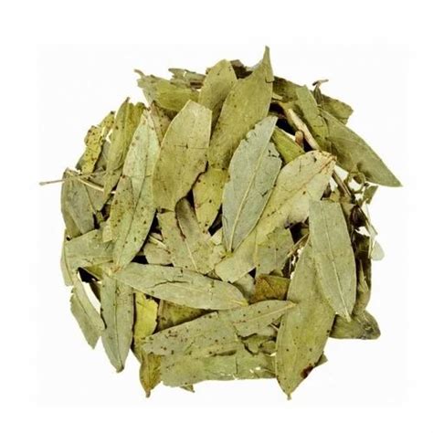 Natural Dry Senna Leaves Sanay Grade Medicine Grade Packaging Size