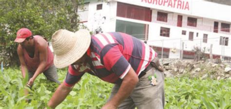 Producci N En El Sur Del Lago De Maracaibo Est A Punto De Paralizarse