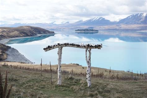 High Country Farm Tour Lake Tekapo Getyourguide