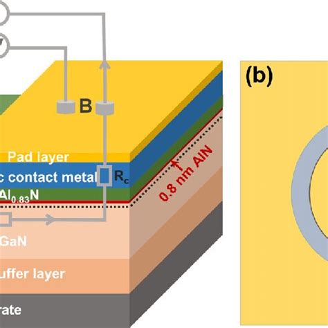 A Schematic Cross Sectional View Of The CTLM With Four Probe Contact