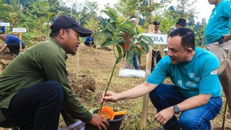 Penanaman Pohon Dan Konservasi Lingkungan Jadi Upaya Kurangi Emisi Gas