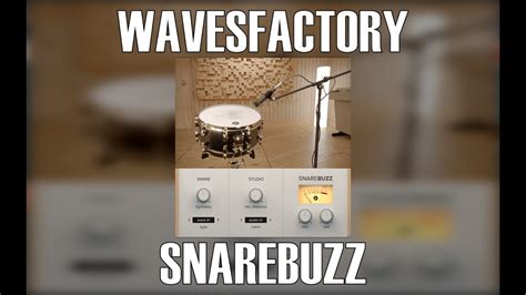 WAVESFACTORY SNAREBUZZ Plugin Review ALERTA De PLUGIN GRATUITO