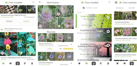 Quelle Application Gratuite Pour Reconna Tre Les Plantes