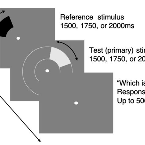 Schematic Illustration Of Experiment 1b A Fixation Point Was Shown On