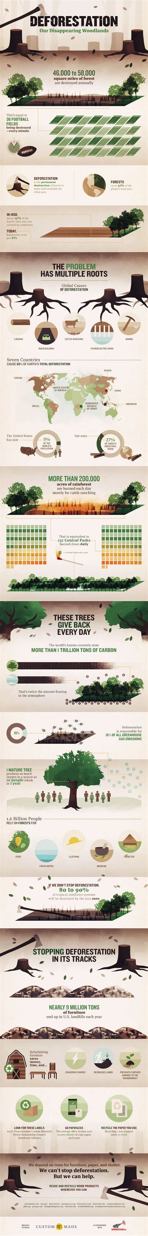 deforestation-infographic | Greener Ideal