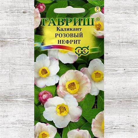 Каликант китайский Розовый нефрит Гавриш (66076): купить семена почтой ...