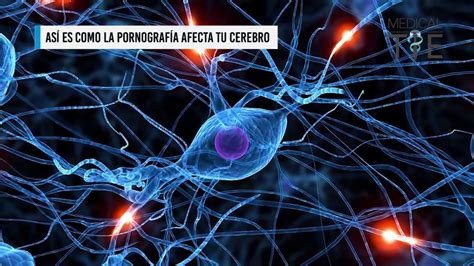 As Es Como La Pornograf A Afecta Tu Cerebro Youtube