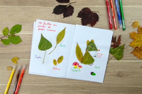 Activit Enfant Diy Nature Cr Er Un Herbier Rigolo