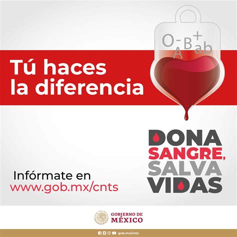 Requisitos Para La Donaci N De Sangre Secretar A De Salud Gobierno