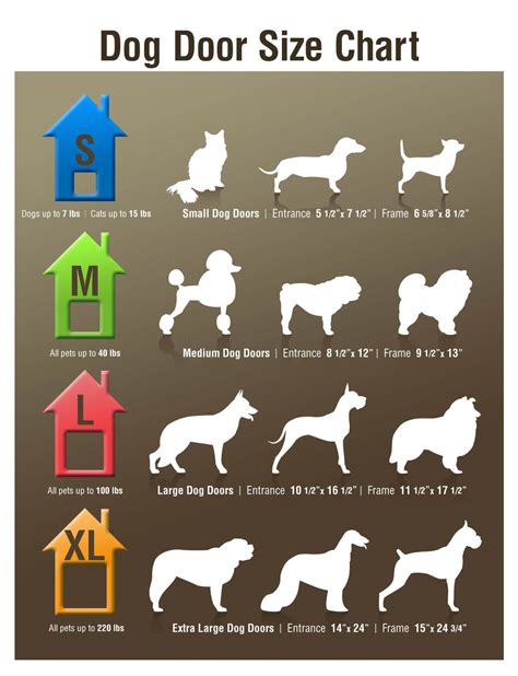 Dog Size Comparison Chart