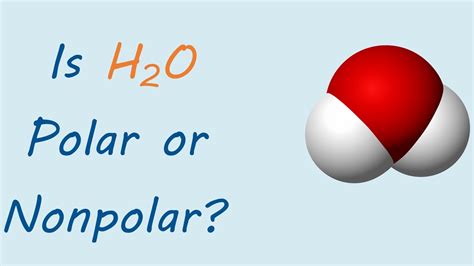 Why H2o Is Polar