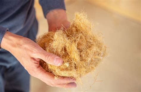 Isoler Sa Maison Les Solutions Naturelles