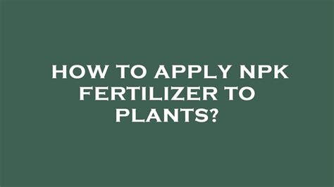 How To Apply Npk Fertilizer To Plants Youtube