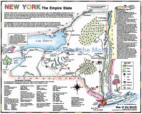 New York map - Blank outline map, 16 by 20 inches, activities included