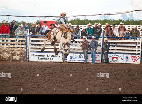 Wainwright Stampede, Wainwright, Alberta Stock Photo - Alamy