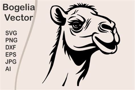 Camel Svg Cut File Camel Head Svg Graphic By Bogeliavector · Creative