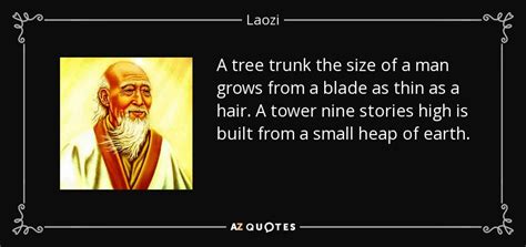 TOP 25 TREE TRUNKS QUOTES | A-Z Quotes