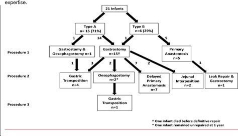 Figure 1 From Oesophageal Atresia With No Distal Tracheoesophageal