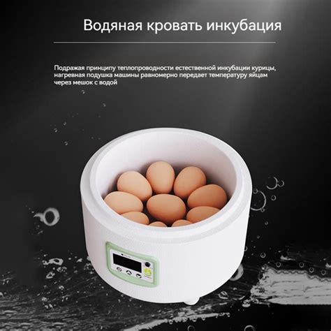 Инкубатор для яиц, умный инкубатор на 9 яиц, перепелиные и голубиные ...