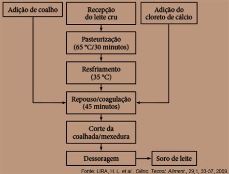 UPE 2013 O fluxograma de obtenção do soro de leite a partir da Estuda