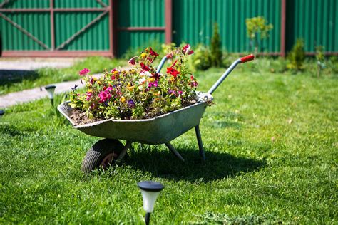 27 Wheelbarrow Flower Planter Ideas For Your Yard