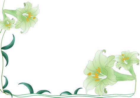 Lily Border White Transparent Lily Border Plant Frame Lily Png