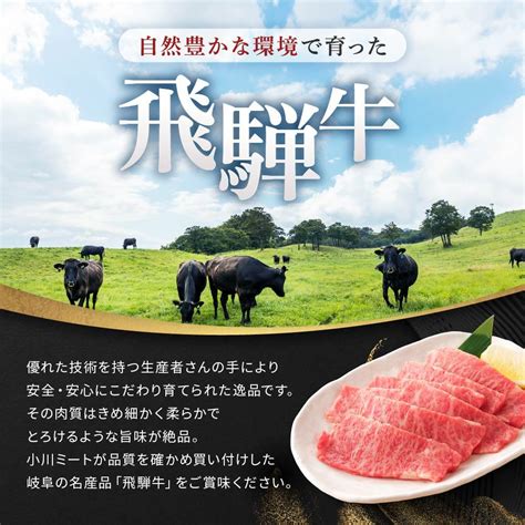 【楽天市場】【ふるさと納税】飛騨牛a5 赤身肉 スライス 1kg（500g×2パック） モモ 又は カタ 肉 ｜国産 肉 牛肉 焼肉 すき焼き