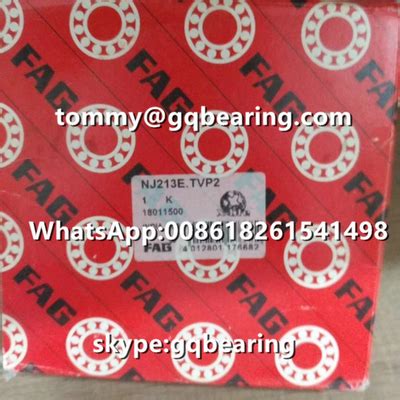 C3 Clearance FAG NJ213E TVP2 Single Row Cylindrical Roller Bearing