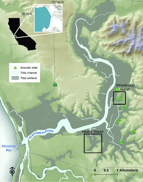 Location Of Elkhorn Slough And Restoration Sites The Locations Of The