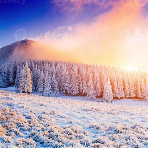 sunny winter landscape 6939703 Stock Photo at Vecteezy