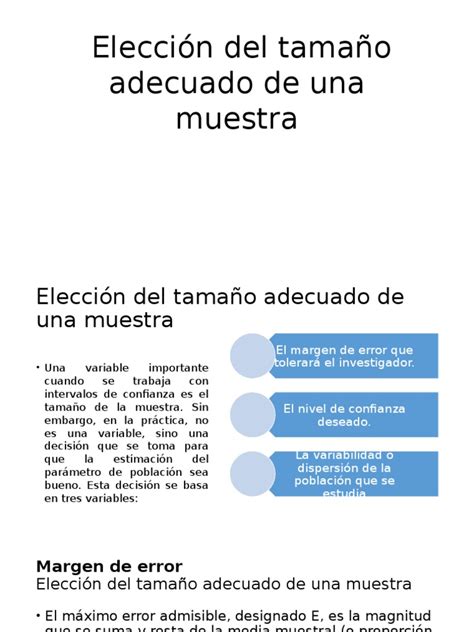 Elección Del Tamaño Adecuado De Una Muestra Determinación Del Tamaño De La Muestra Muestreo