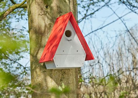 Jak samemu zrobić budkę dla ptaków DIY Zielony Ogródek