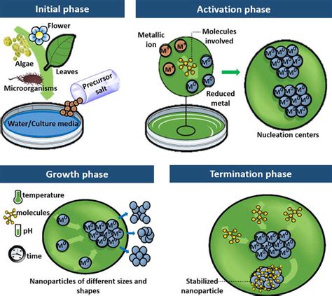 Green Synthesis Of Nanoparticles A Biological Approach IntechOpen