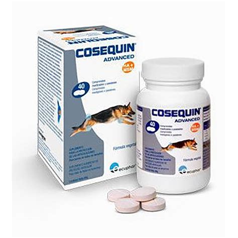 Ecuphar Suplemento Perro Cosequin Advance Msm Ha X Cpd Transparente