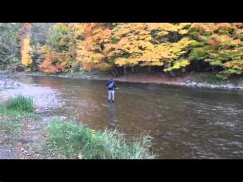 Fly Fishing On Credit River Mississauga Canada YouTube