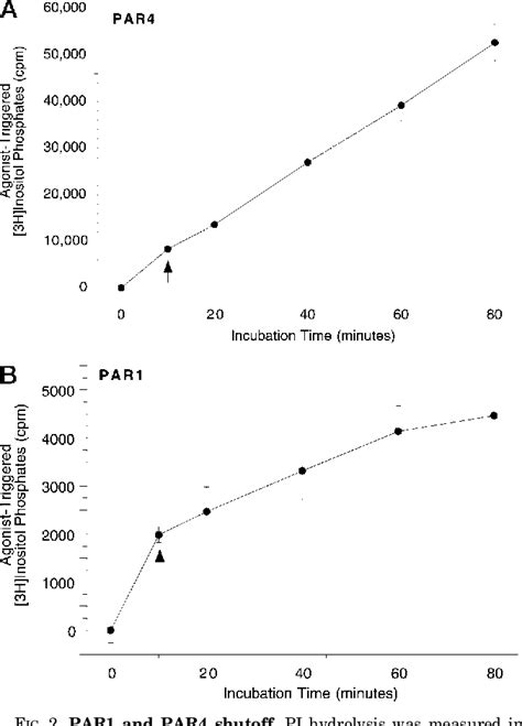 Figure 2 From Protease Activated Receptors 1 And 4 Are Shut Off With