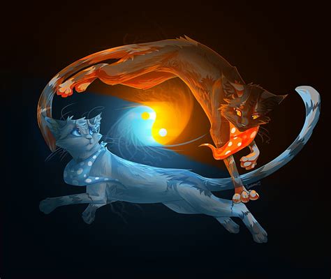 HD wallpaper: blue and red cat Yin Yang illustration, animals, water ...