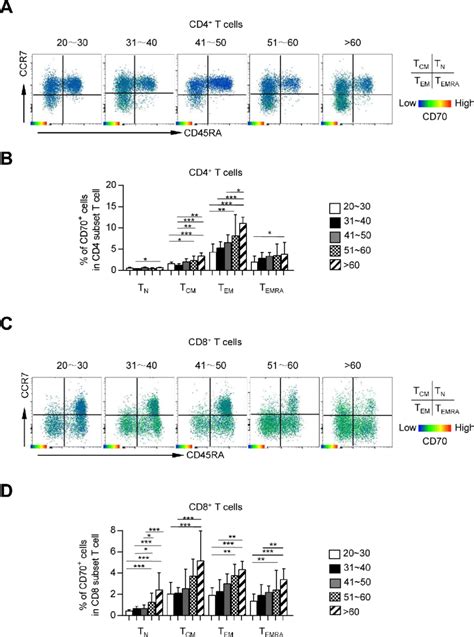 Cd70 Is Preferentially Expressed On Memory Cd4 And Cd8 T Cells