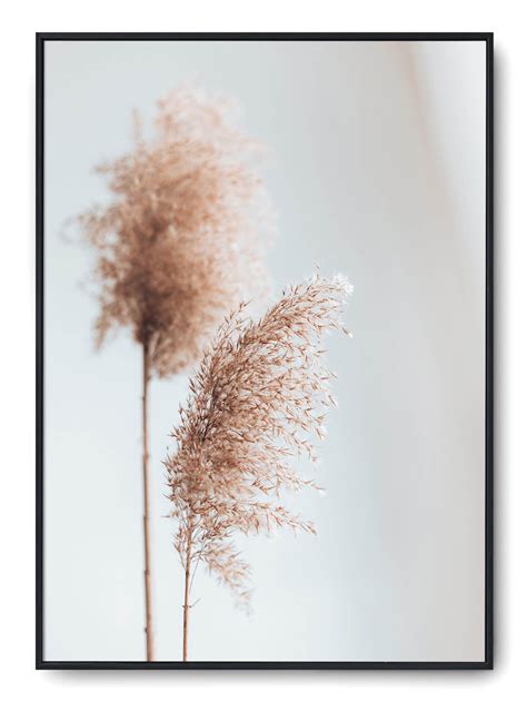 Plakat R A X Cm Boho Natura Botanik Trawa Ro Printonia Sklep