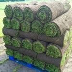 Turf Suppliers In Southportturf Supplier Liverpool Top Soil Turf Prices